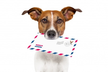 how much to send a direct mail letter
